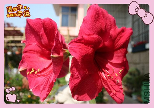 ��Ƭ 006_��������2.jpg