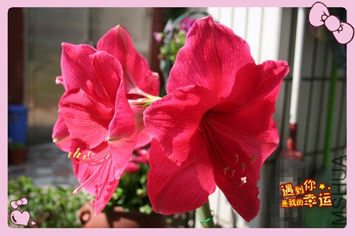 ��Ƭ 008_��������4.jpg