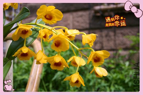 ��Ƭ 005_������2.jpg
