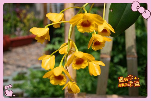 ��Ƭ 008_������3.jpg