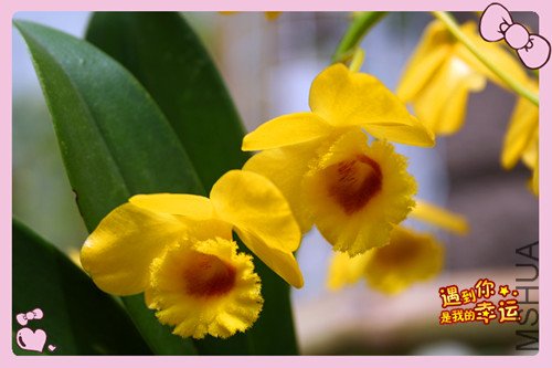 ��Ƭ 010_������4.jpg