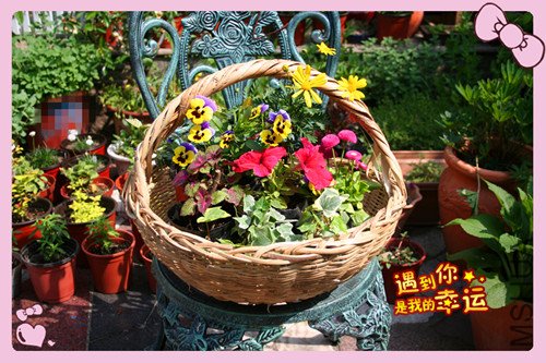 ��Ƭ 015_������1.jpg