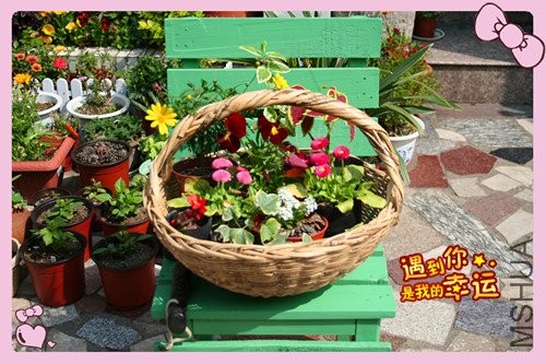��Ƭ 017_������2.jpg