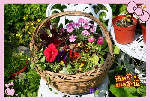 ��Ƭ 019_������3.jpg