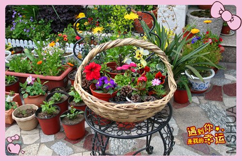 ��Ƭ 027_������4.jpg