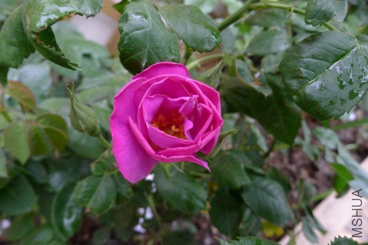P1010804.JPG