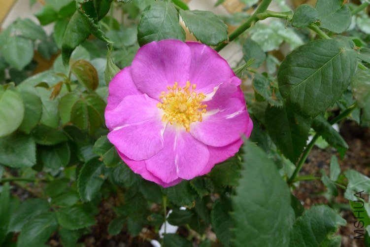 P1010843.JPG
