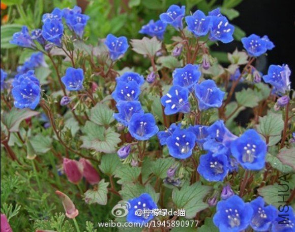 b_large_jZtg_16d52000026241261.jpg