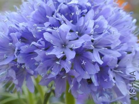 b_large_9lL7_66b70000107c1262.jpg