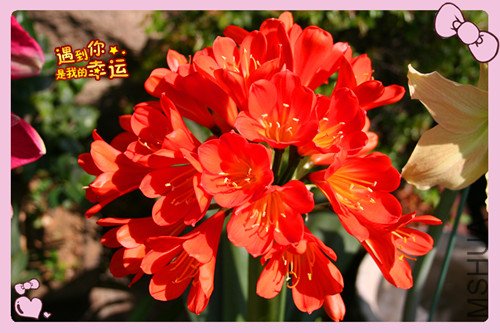 ��Ƭ 005_������.jpg