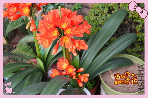 ��Ƭ 097_������2.jpg