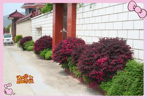 ��Ƭ 115_������1.jpg