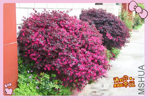 ��Ƭ 107_������5.jpg