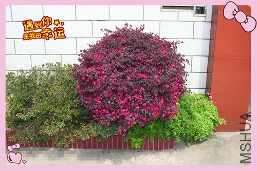 ��Ƭ 099_������4.jpg