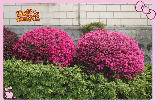 ��Ƭ 112_���� ��6.jpg