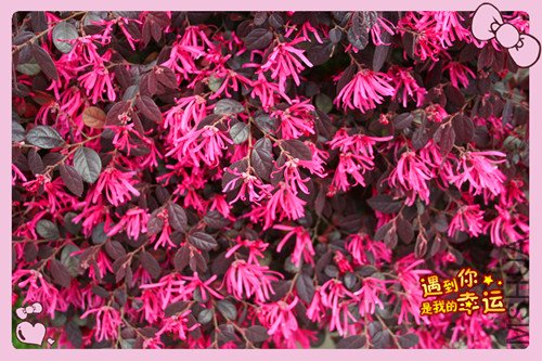 ��Ƭ 105_����.jpg