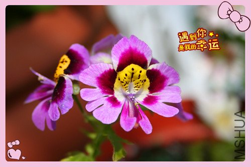 ��Ƭ 024_������1.jpg