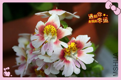 ��Ƭ 025_������2.jpg