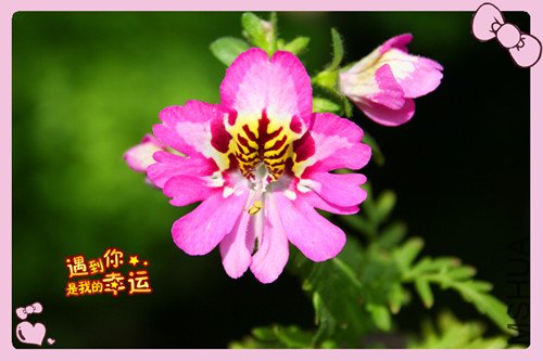 ��Ƭ 027_������3.jpg