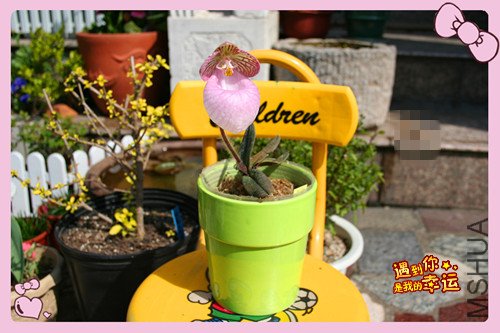 ��Ƭ 055_����Ӳ1.jpg