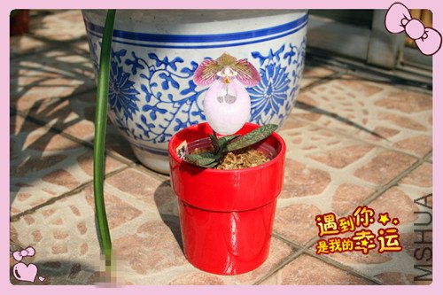 ��Ƭ 049_���� Ӳ3.jpg