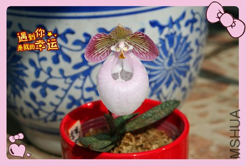 ��Ƭ 050_����Ӳ4.jpg