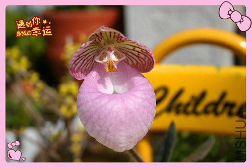 ��Ƭ 057_����Ӳ2.jpg