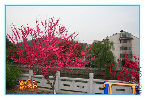 ��Ƭ 002_������1.jpg