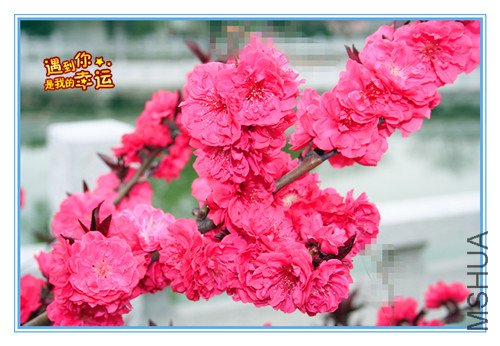 ��Ƭ 004_������7.jpg