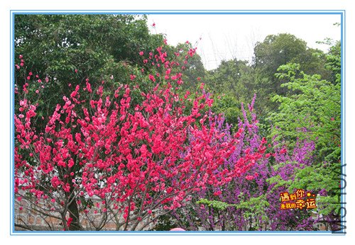 ��Ƭ 007_������3.jpg