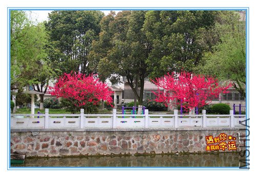 ��Ƭ 009_������4.jpg