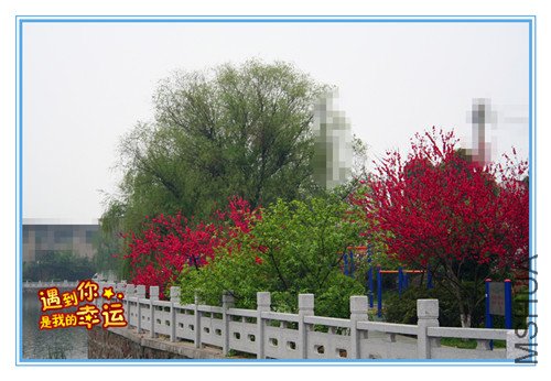 ��Ƭ 010_������5.jpg