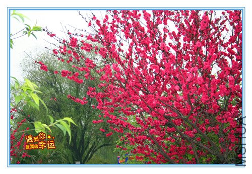 ��Ƭ 011_������6.jpg