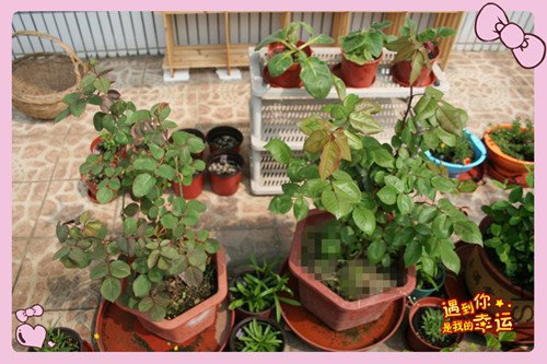 ��Ƭ 166_������3.jpg