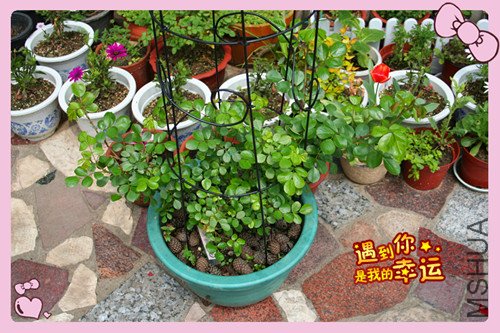 ��Ƭ 119_������1.jpg