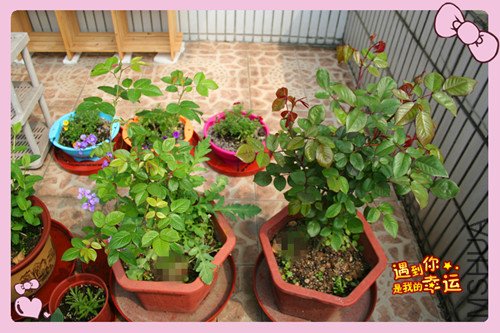 ��Ƭ 165_������2.jpg