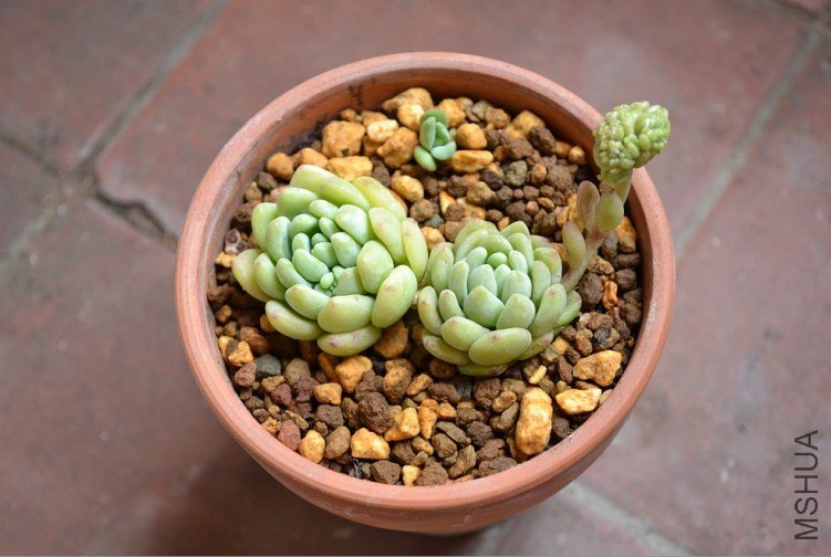 QQ��ͼ20120424185103.jpg