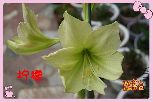 ��Ƭ 001_������1.jpg