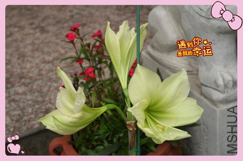 ��Ƭ 003_������2.jpg