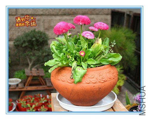 ��Ƭ 006_������.jpg