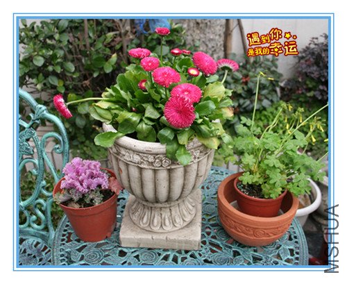 ��Ƭ 007_������.jpg