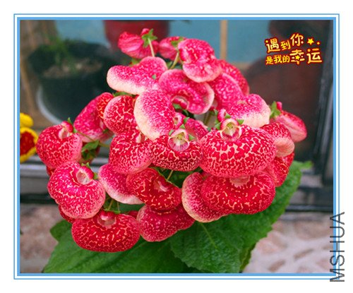 ��Ƭ 021_������2.jpg