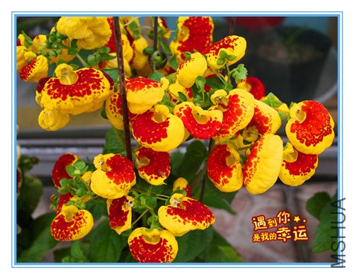 ��Ƭ 022_������3.jpg