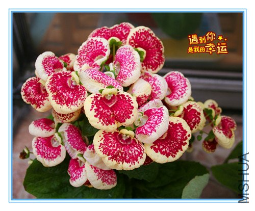 ��Ƭ 023_������4.jpg