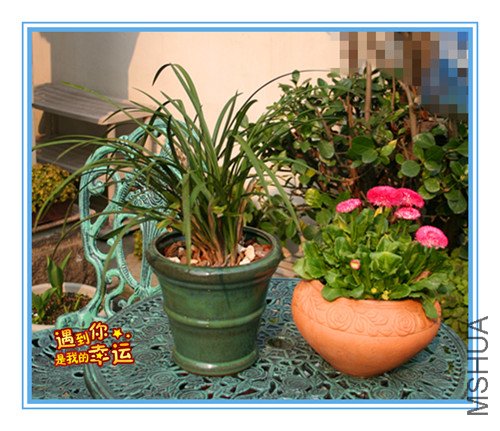 ��Ƭ 001_������1.jpg