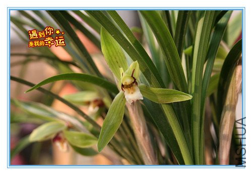 ��Ƭ 003_������2.jpg