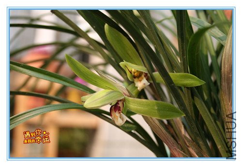 ��Ƭ 006_������3.jpg