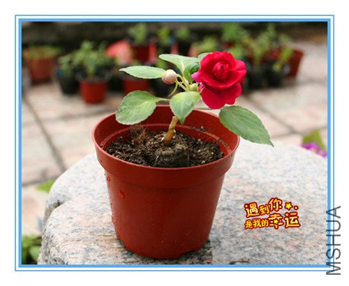 ��Ƭ 072_����.jpg