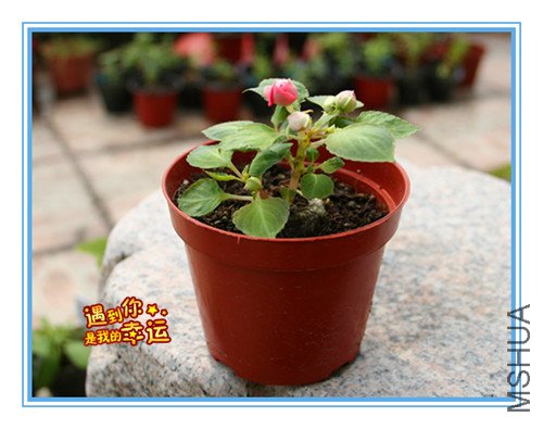 ��Ƭ 073_�����Ƿ�.jpg