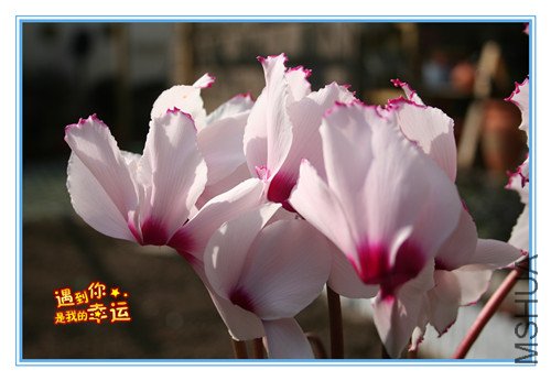 ��Ƭ 047_�����ɿ���.jpg